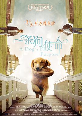 2020国产精品亚洲综合网